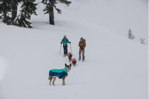 abrigo para perros Ruffwear VERT™  Naranja. Ultra caliente y de alta cubrición. Ideal para frío intenso, nieve... toma 18