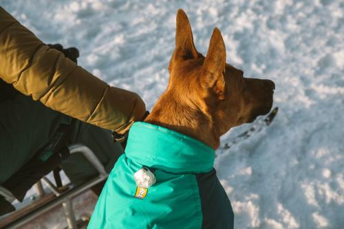 abrigo para perros Ruffwear VERT™  Naranja. Ultra caliente y de alta cubrición. Ideal para frío intenso, nieve... toma 14
