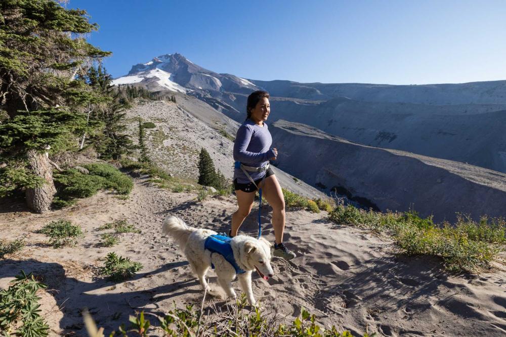 Arnés para perros Ruffwear Trail Runner™ para correr, running, senderismo...toma 26