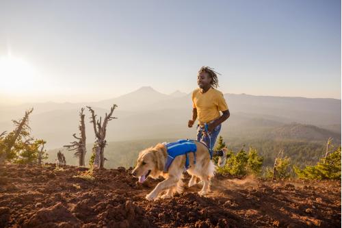 Arnés para perros Ruffwear Trail Runner™ para correr, running, senderismo...toma 25