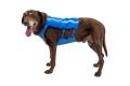 Arnés para perros Ruffwear Trail Runner™ para correr, running, senderismo...toma 24