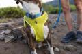 Arnés para perros Ruffwear Trail Runner™ para correr, running, senderismo...toma 33