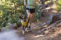 cinturón Ruffwear TRAIL RUNNER™ para llevar perro durante running, correr, senderismo, canicross, paseo toma 15
