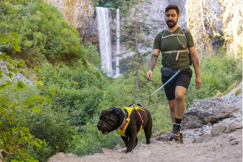La bolsa para perros Stash Bag Plus™ de Ruffwear es ideal para acoplar en la correa y llevar premios toma 15