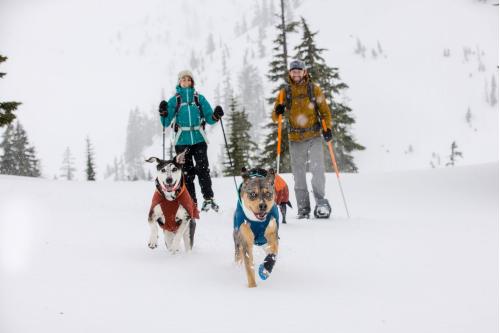 collar impermeable para perros Confluence™ Ruffwear indicado para uso en agua, nieve... no absorbe humedad. toma 24
