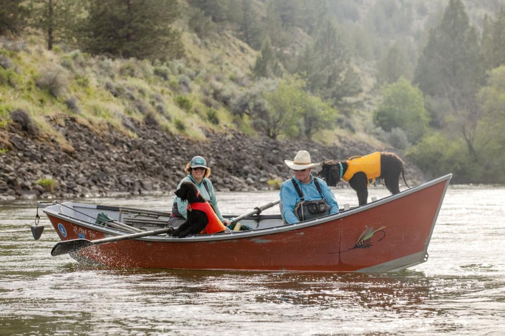 collar impermeable para perros Confluence™ Ruffwear indicado para uso en agua, nieve... no absorbe humedad. toma 28