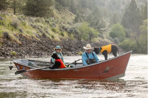 collar impermeable para perros Confluence™ Ruffwear indicado para uso en agua, nieve... no absorbe humedad. toma 28