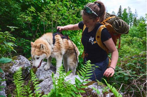 Arnés para perros Non-Stop Rock Long™ de apoyo multiuso. para perros de trabajo, asistir obstáculos, ayuda movilidad... toma 8