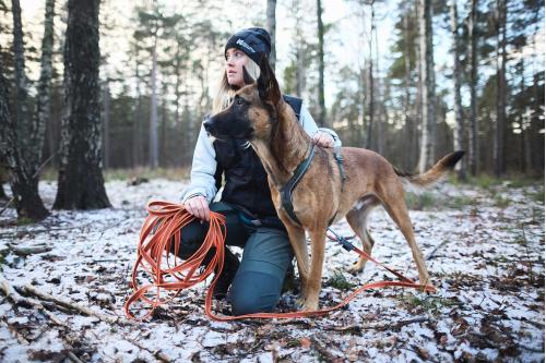 Correa Non-Stop Friction Long Line para perros.  Uso en senderismo, rastreo, adiestramiento... toma 6