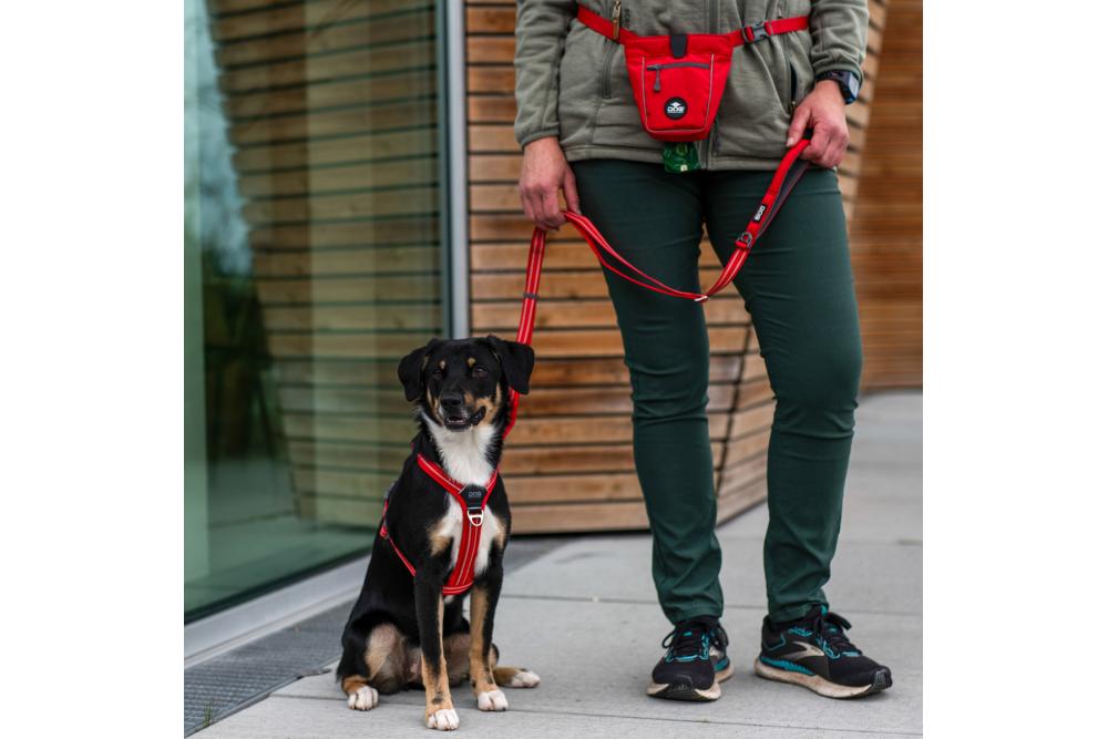 Bolsa para premios golosinas para entrenamiento perros DOG Copenhagen. Cierre magnético y dispensador de bolsitas . Con perro 3