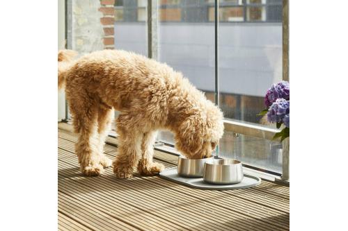 Bol cuenco para perros Vega de DOG Copenhagen. Comedero bebedero antideslizante y con estilo minimalista. ejemplo 6