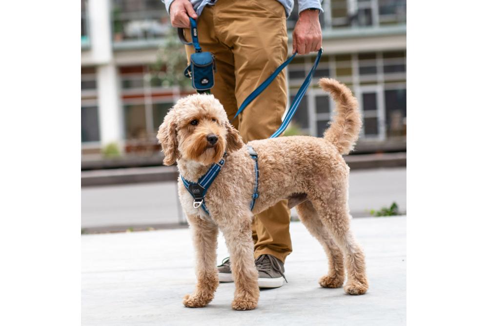 Arnés para perros DOG Copenhagen Comfort Walk Air cp1