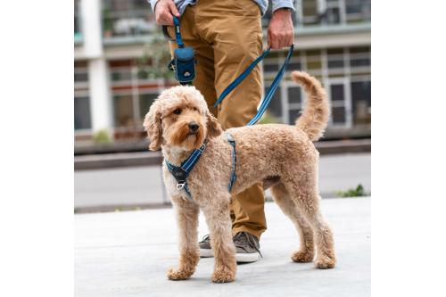 Arnés para perros DOG Copenhagen Comfort Walk Air cp1