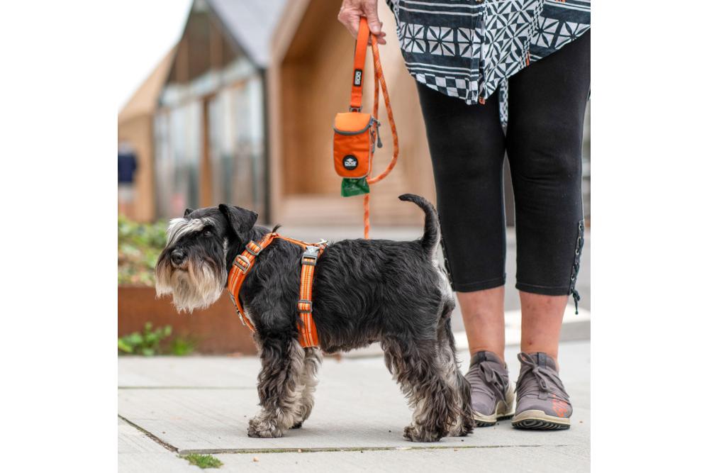 Arnés para perros DOG Copenhagen Comfort Walk Air cp3