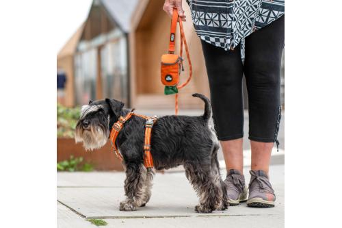 Arnés para perros DOG Copenhagen Comfort Walk Air cp3