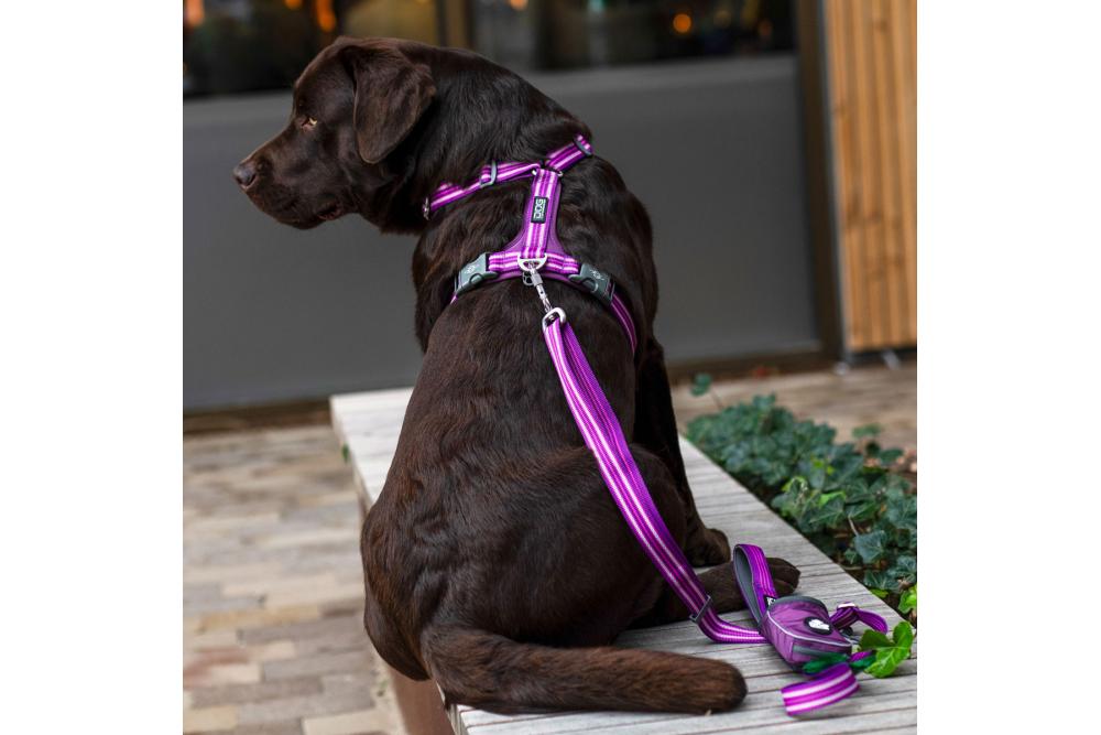 Arnés para perros DOG Copenhagen Comfort Walk Air cp4