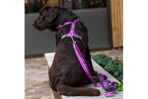 Arnés para perros DOG Copenhagen Comfort Walk Air cp4