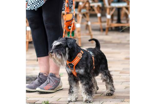 Arnés para perros DOG Copenhagen Comfort Walk Air cp7