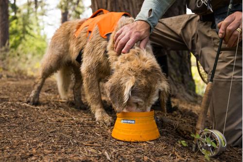 bol plegable para perros Bivy™ naranja de Ruffwear para mochila, senderismo, trekking, running, viajes,... toma 4