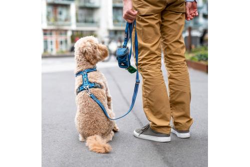Correa perro DOG Copenhagen Urban Freestyle. Con perro 1