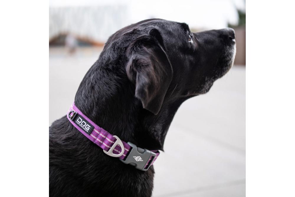 Collar DOG Copenhagen Urban Style™ -...
