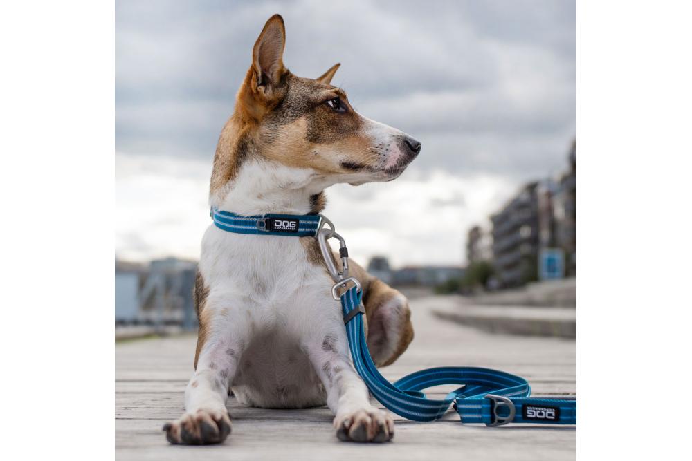 Collar DOG Copenhagen Urban Style™ -...