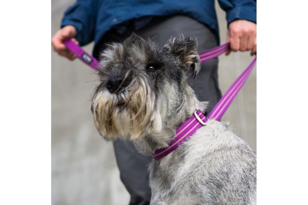 Collar DOG Copenhagen Urban Style™ -...