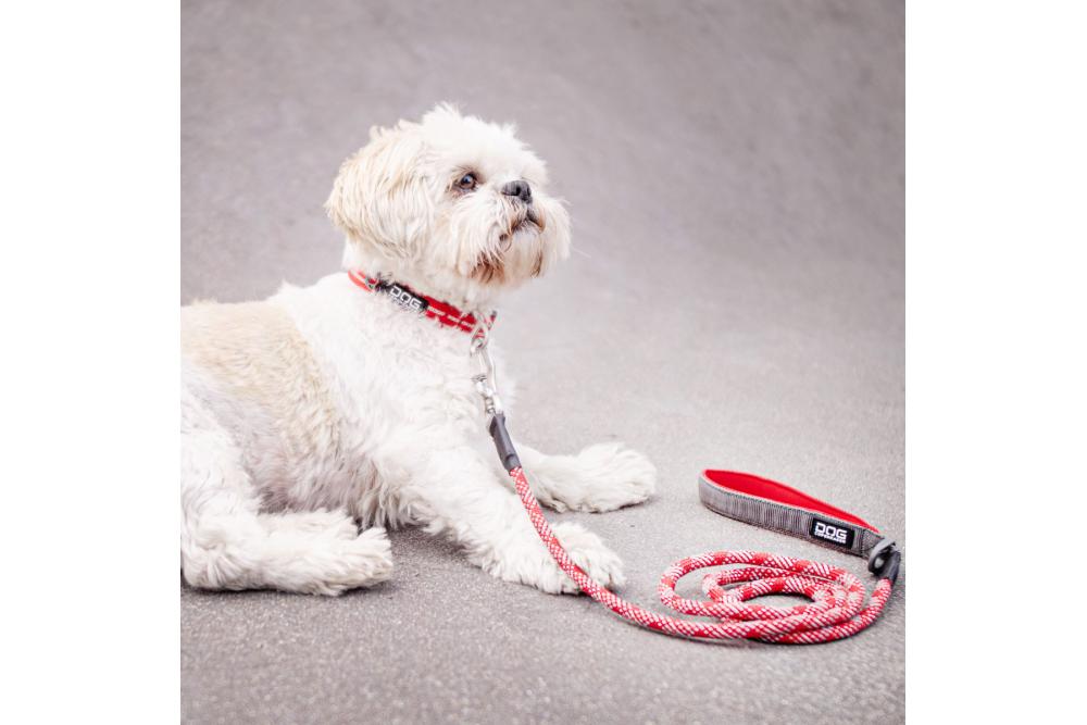 Collar DOG Copenhagen Urban Style™ -...