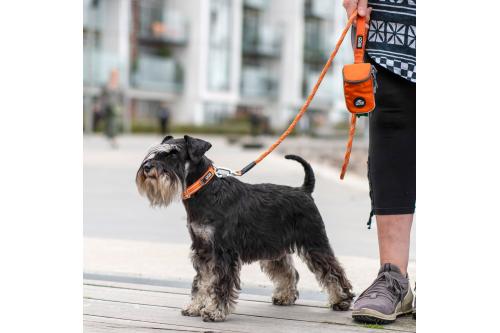 Collar perros DOG Copenhagen Urban Style. Con perro 1