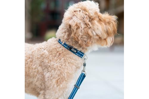 Collar perros DOG Copenhagen Urban Style. Con perro 3