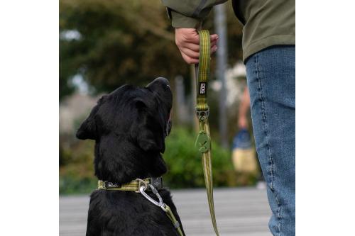 Collar perros DOG Copenhagen Urban Style. Con perro 4