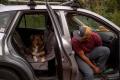 cubre asiento funda protectora de coche para perros Ruffwear DIRTBAG™ resistente impermeable tejido antideslizante. Imagen 8