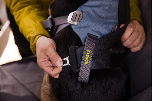 arnés para perros Ruffwear Load Up™ diseñado para que el perro vaya seguro en el coche. Testado en ensayos de colisión. 11