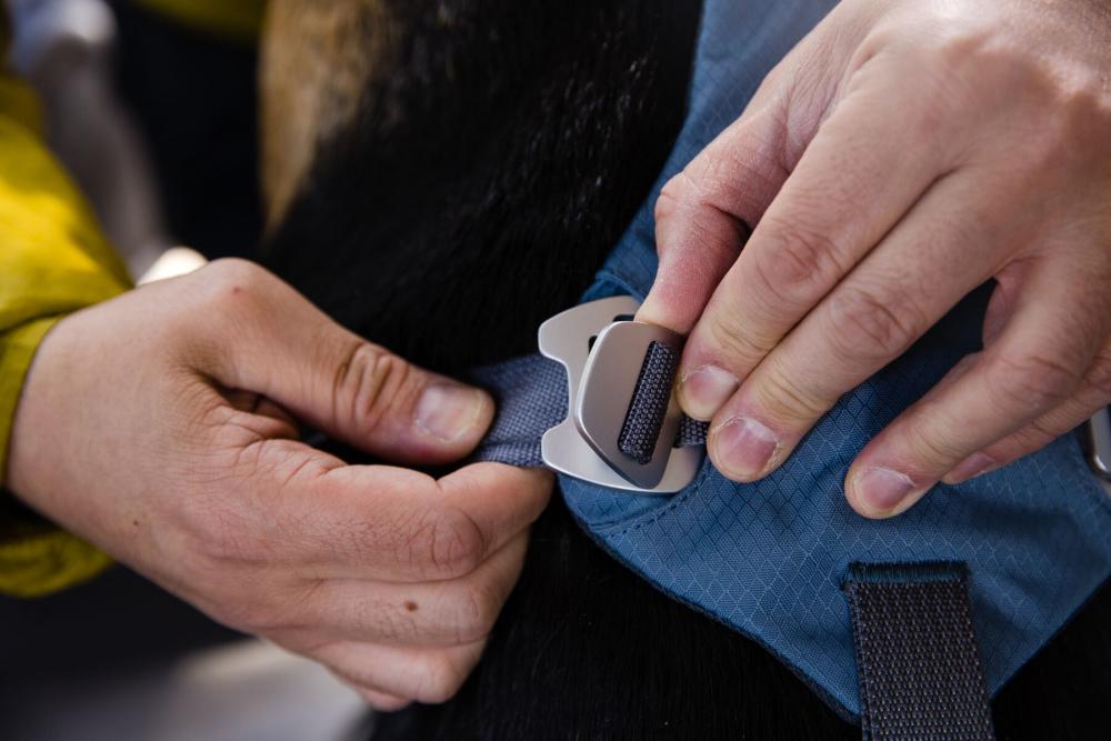 arnés para perros Ruffwear Load Up™ diseñado para que el perro vaya seguro en el coche. Testado en ensayos de colisión. 7