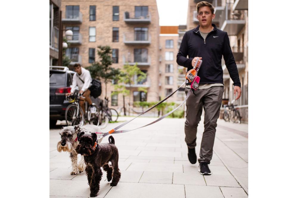 Correa para perro DOG Copenhagen Urban Trail V2. Ejemplo con perro 2