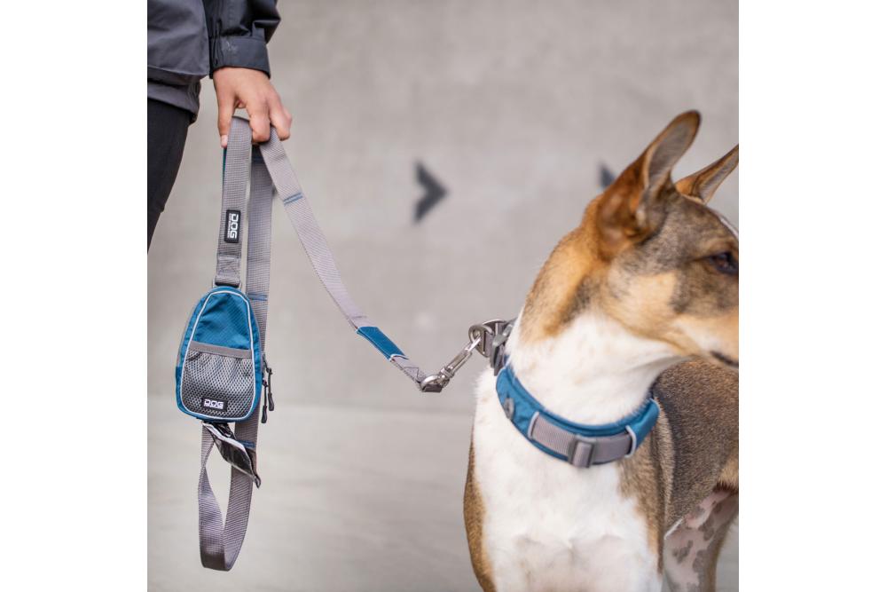 Correa para perro DOG Copenhagen Urban Trail V2. Ejemplo con perro 3