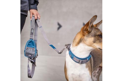 Correa para perro DOG Copenhagen Urban Trail V2. Ejemplo con perro 3