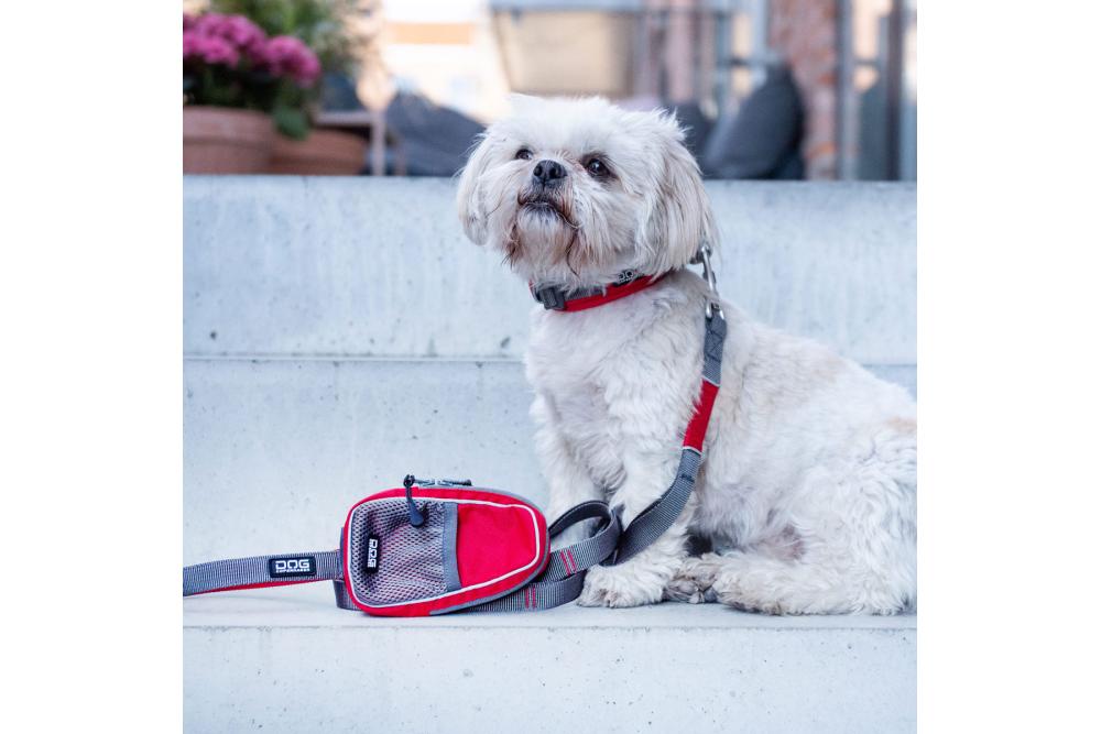 Correa para perro DOG Copenhagen Urban Trail V2. Ejemplo con perro 6