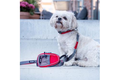 Correa para perro DOG Copenhagen Urban Trail V2. Ejemplo con perro 6