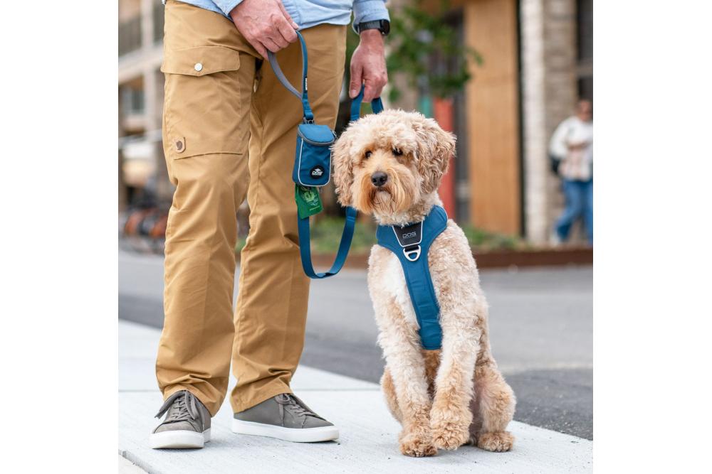 Correa para perros DOG Copenhagen Urban Trail™. Ejemplo con perro 1