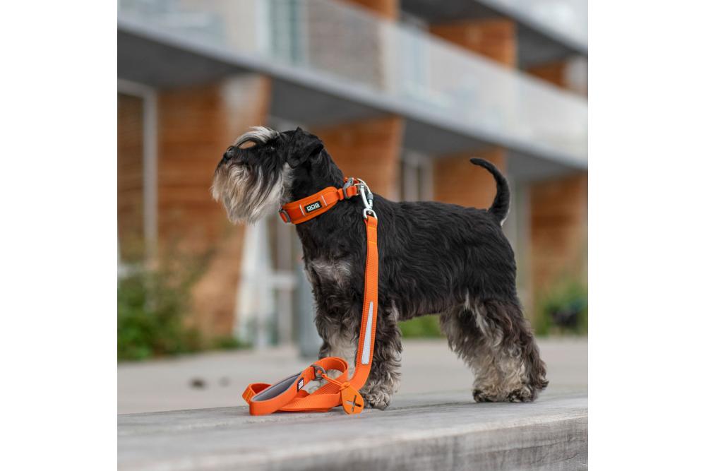 Correa para perros DOG Copenhagen Urban Trail™. Ejemplo con perro 2