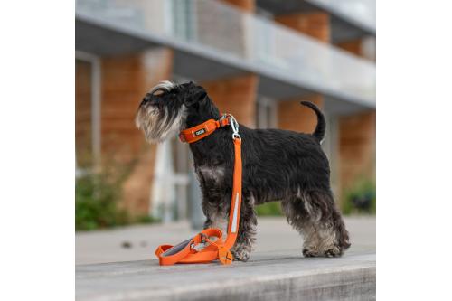 Correa para perros DOG Copenhagen Urban Trail™. Ejemplo con perro 2