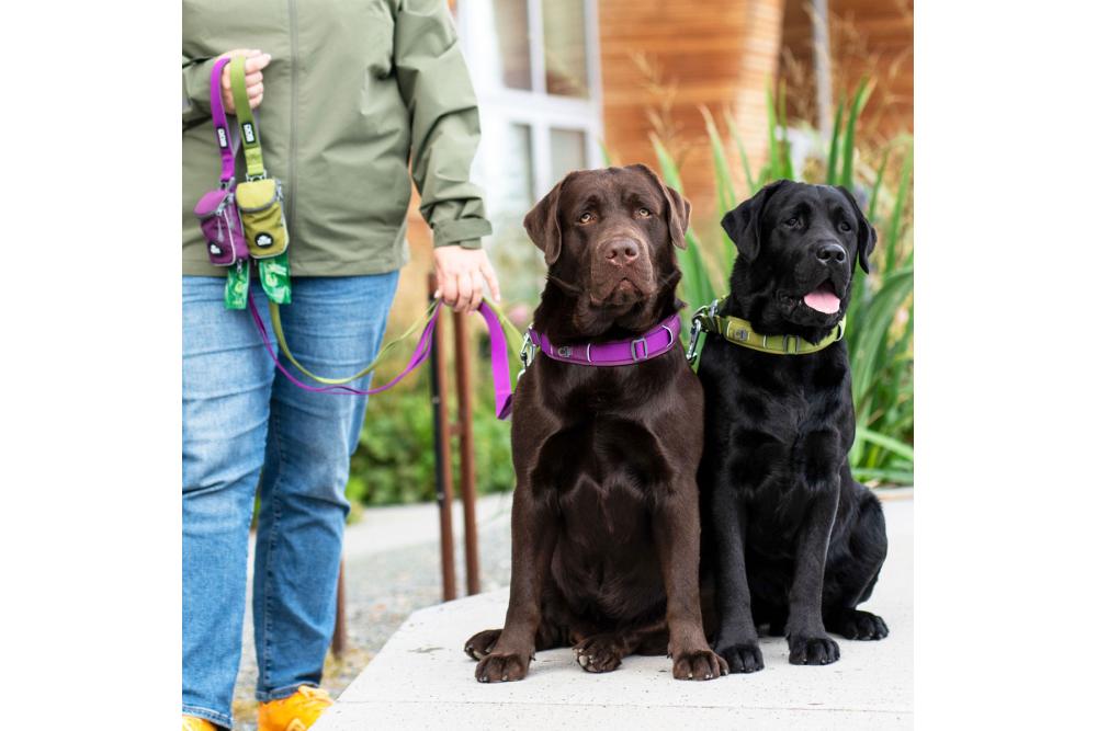 Correa para perros DOG Copenhagen Urban Trail™. Ejemplo con perro 4