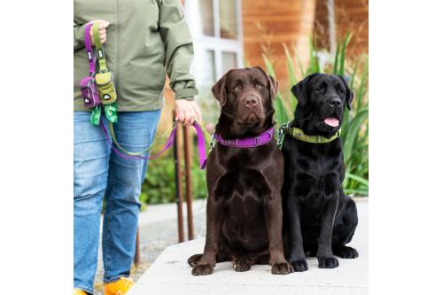 Correa para perros DOG Copenhagen Urban Trail™. Ejemplo con perro 4