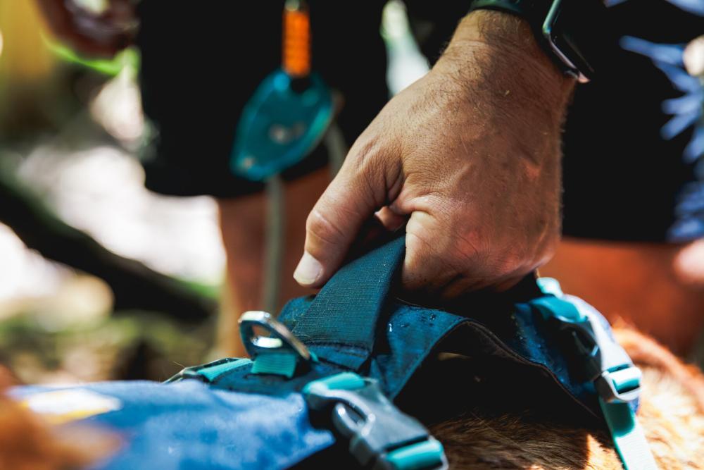 Arnés Ruffwear FLAGLINE™