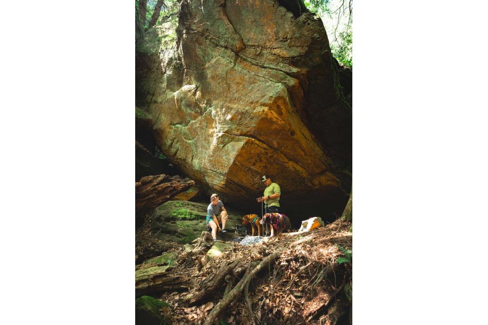 arnés para perros Ruffwear Flagline™ -Ejemplo con perro 24-10