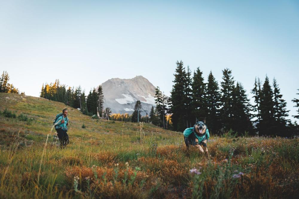mochila alforja para perros Ruffwear Front Range™ color gris - ejemplo con perro 1