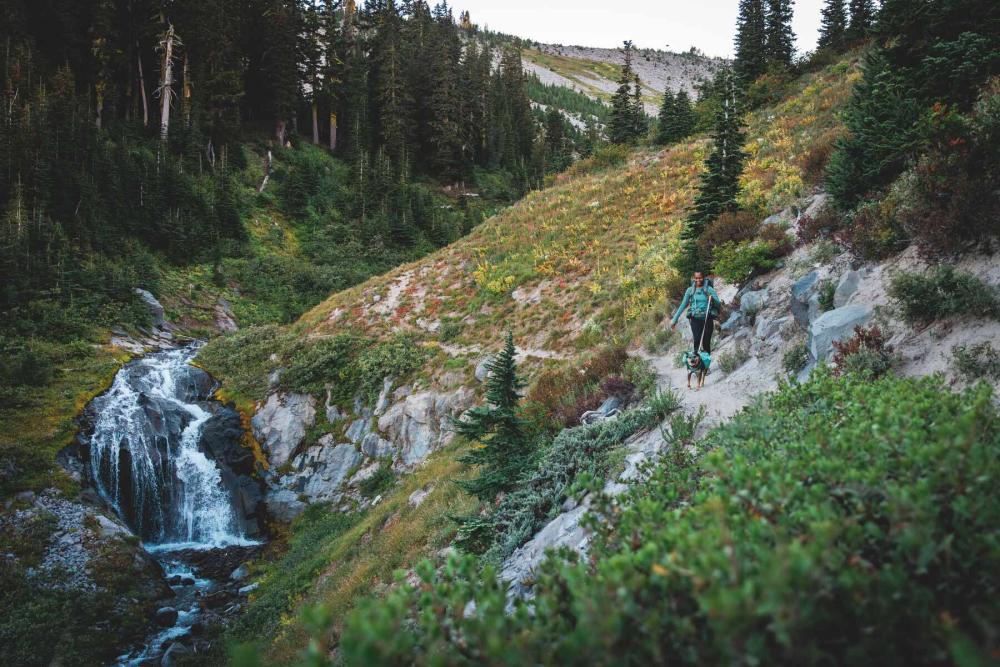 mochila alforja para perros Ruffwear Front Range™ color gris - ejemplo con perro 9