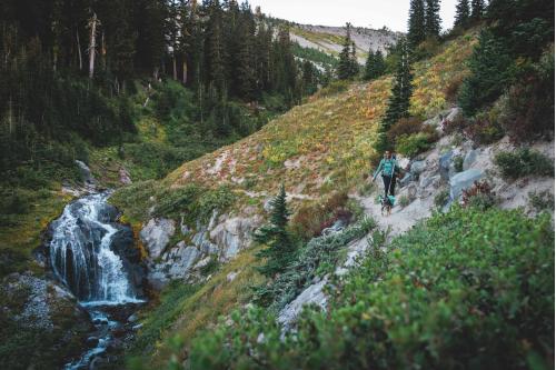 mochila alforja para perros Ruffwear Front Range™ color gris - ejemplo con perro 9