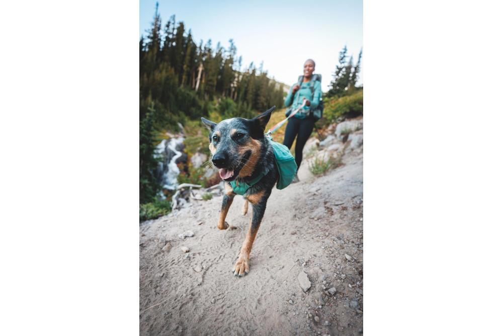 mochila alforja para perros Ruffwear Front Range™ color gris - ejemplo con perro 12